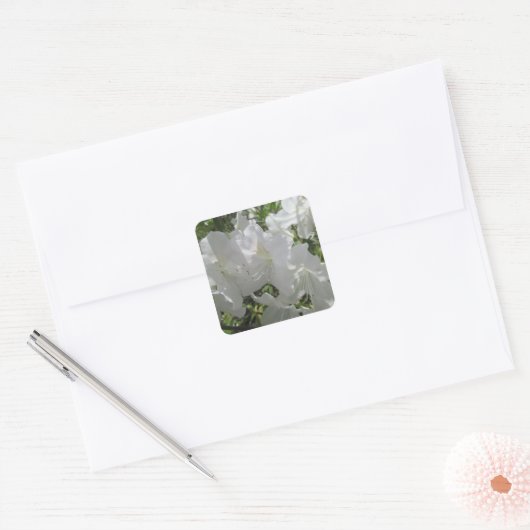 Sticker - White Azaleas (Envelop)