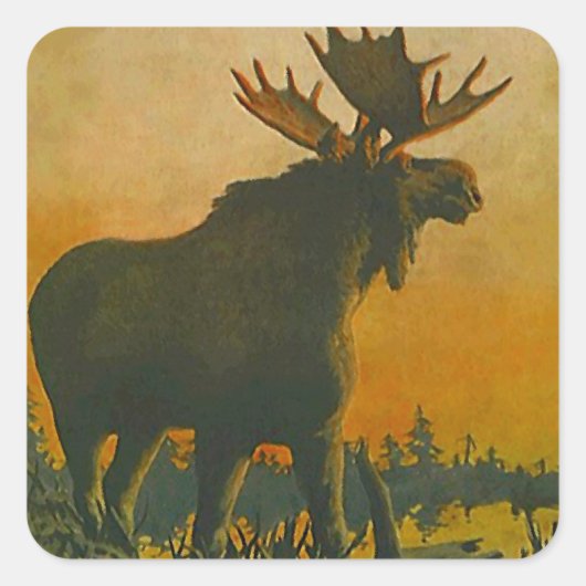 Sticker Wildlife Bull Moose @ Twilight Sundown (Voorkant)