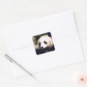 Sticker Wildlife Wit Sweet Panda Beer Gezicht (Envelop)