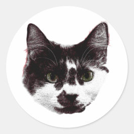 Sticker with a Stare | Ink Style Cat Sticker