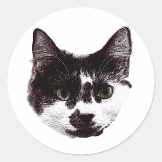 Sticker with a Stare | Ink Style Cat Sticker (Voorkant)