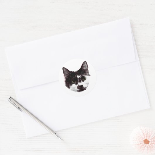 Sticker with a Stare | Ink Style Cat Sticker (Envelop)