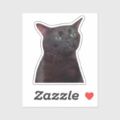Sticker zoned uit cat meme (Vel)