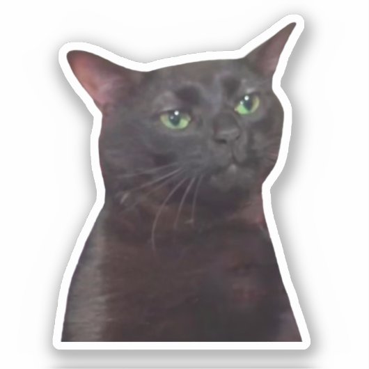 Sticker zoned uit cat meme (Voorkant)