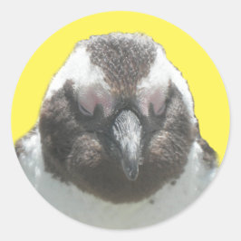 Sticker Zuid-Afrikaans Penguin Face