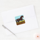 Sticker  Zwart Beauty Paard Fancy Canter (Envelop)