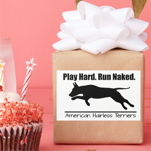 Stickerblad Play Hard AHT Rechthoekige Sticker (Feest)