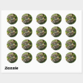 Stickers (Vel)