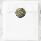 Stickers (Tas)