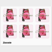 STICKERS - ALABAMA (Vel)