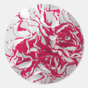 Stickers - Anjer in Rood & Wit