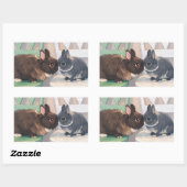 Stickers Available Sheets or Rolls Aval 2 sizes  (Vel)