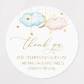 Stickers, blauwe en roze sterren labels (Design 1)