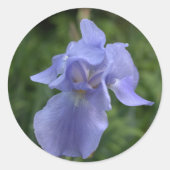 Stickers  blauwe Iris bloem (Voorkant)