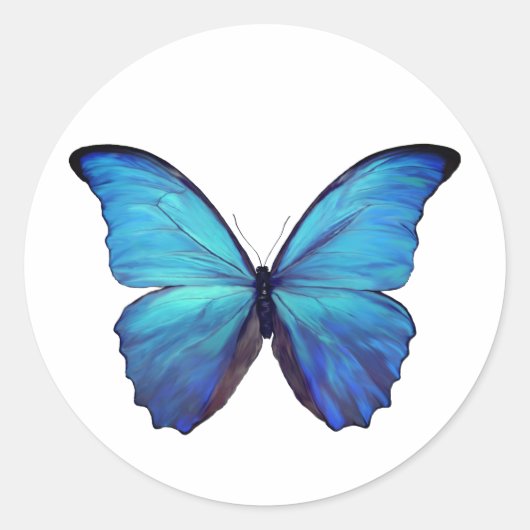 Stickers Blue Morpho Butterfly (Voorkant)
