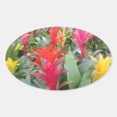 Stickers - Bromeliad Forest (Voorkant)