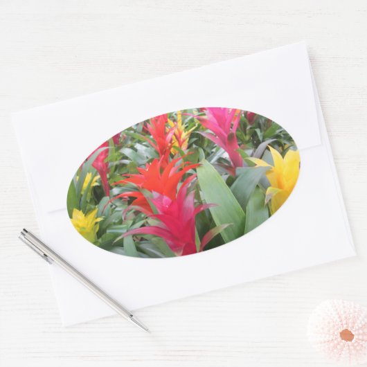 Stickers - Bromeliad Forest (Envelop)