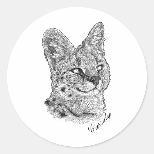 Stickers - Cassidy (Voorkant)