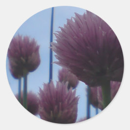 Stickers - Chives Afbeelding 1