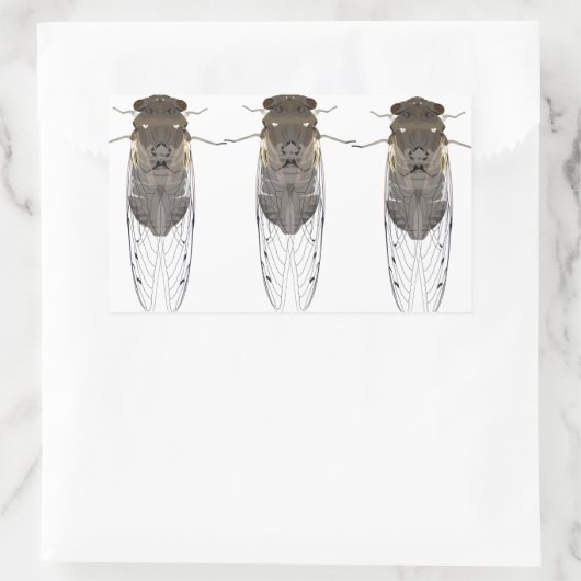 Stickers cicada (Tas)