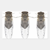 Stickers cicada (Voorkant)