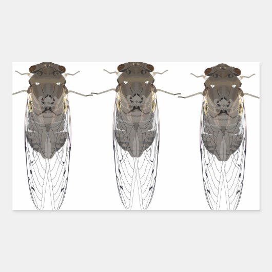Stickers cicada (Voorkant)