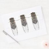 Stickers cicada (Envelop)