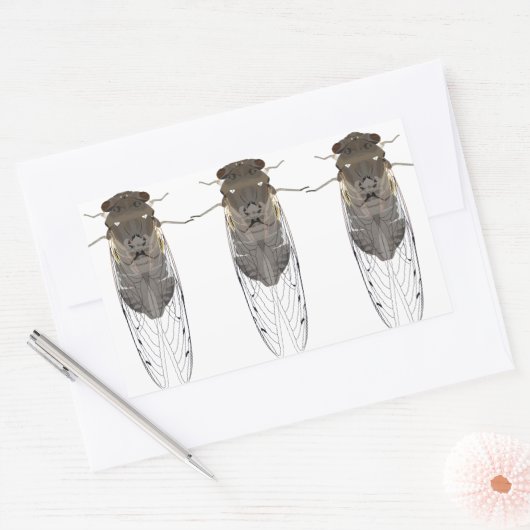 Stickers cicada (Envelop)