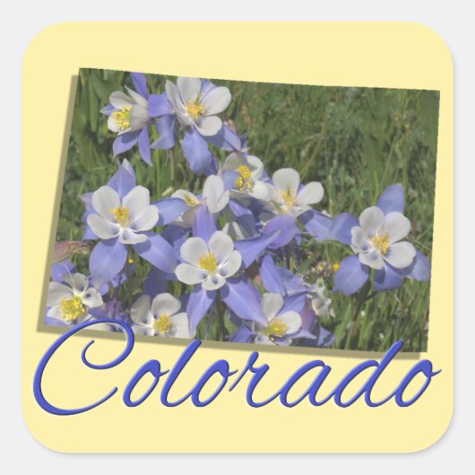 STICKERS - COLORADO (Voorkant)