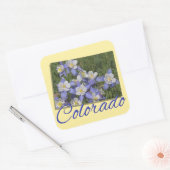 STICKERS - COLORADO (Envelop)