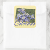 STICKERS - COLORADO (Tas)