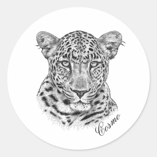 Stickers - Cosmo (Voorkant)