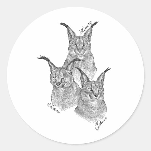 Stickers - de planten (Voorkant)