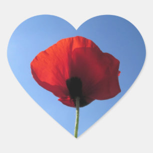 Stickers - de Rode Blauwe Hemel van de Papaver