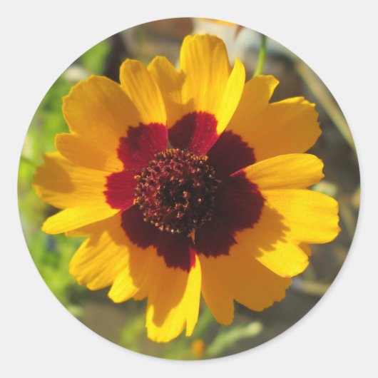 Stickers - Deken Bloem (Voorkant)