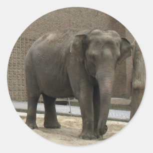 STICKERS ELEPHANT