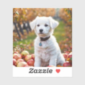 Stickers en labels (Vel)