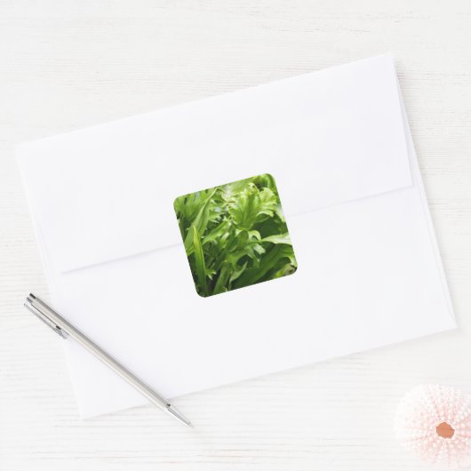 Stickers - Fishtail Fern (Envelop)