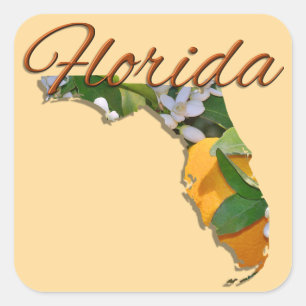 STICKERS - FLORIDA