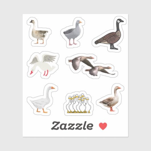 Stickers ganzen (Vel)
