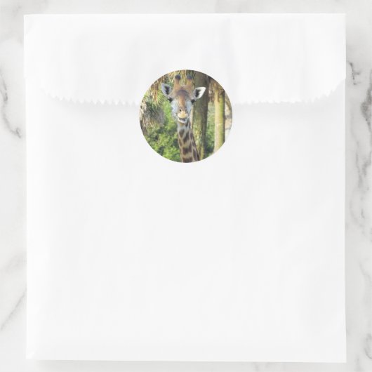 Stickers gekke Giraffe (Tas)