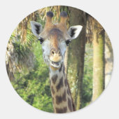 Stickers gekke Giraffe (Voorkant)