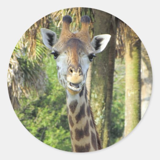 Stickers gekke Giraffe (Voorkant)