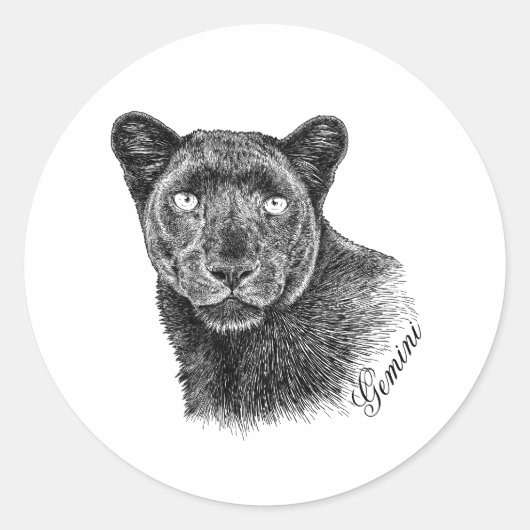 Stickers - Gemini (Voorkant)