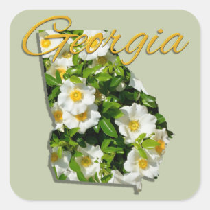 STICKERS - GEORGIË