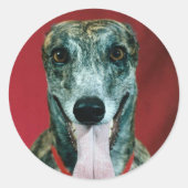 STICKERS Greyhound Sticker Brindle hondenliefhebbe (Voorkant)