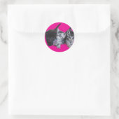 Stickers kattenliefhebbers (Tas)