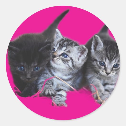 Stickers kattenliefhebbers (Voorkant)