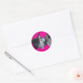 Stickers kattenliefhebbers (Envelop)