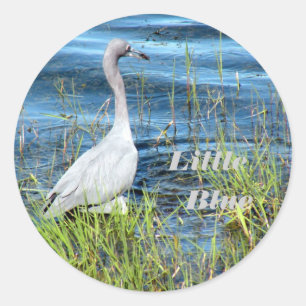 Stickers, klein blauw ronde sticker